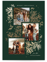 foil branches Foil-Pressed Holiday Cards