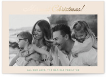 Having Fun Foil-Pressed Holiday Cards