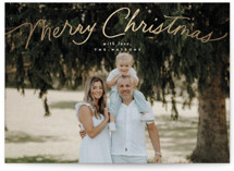 Simply Delighted Foil-Pressed Holiday Cards