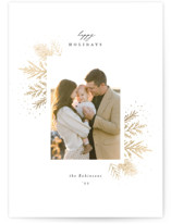 festive sprigs Foil-Pressed Holiday Cards