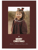 Little Star Foil-Pressed Holiday Cards
