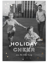 Holiday Cheer Foil-Pressed Holiday Cards