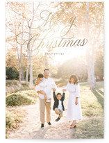 Christmas splendor Foil-Pressed Holiday Cards