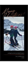 From Our Family Foil-Pressed Tall Holiday Cards