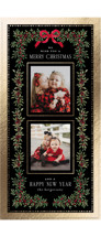 Elegance Framed Foil-Pressed Tall Holiday Cards