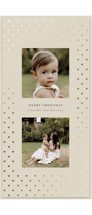 Dotted Foil-Pressed Tall Holiday Cards