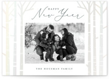 Birch Trees Gloss-Press Holiday Cards®