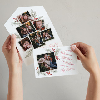 Pine + Sprig All-in-One Holiday Cards