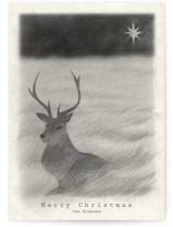 Red Deer Holiday Cards