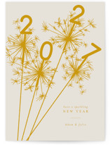 Sparklers Holiday Cards