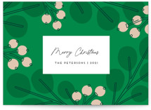 Mod Eucalyptus Holiday Cards