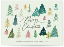 Fir Tree Forest Holiday Cards