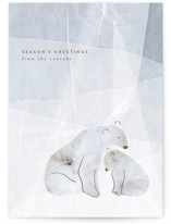 On Ice Holiday Cards