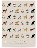 Holiday Dogs Holiday Cards
