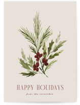 Simple Sprig Holiday Cards