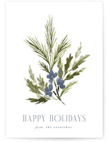 Simple Sprig Holiday Cards