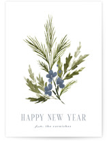 Simple Sprig Holiday Cards