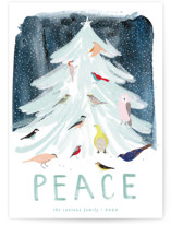 Snowfall Holiday Cards