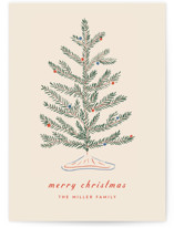 Moher Holiday Cards