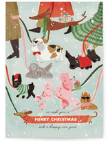 Furry Christmas