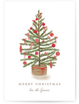 Preppy tree