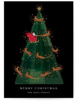 reign Holiday Cards