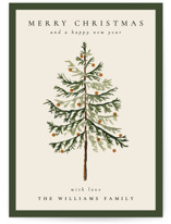 Vintage Spruce Holiday Cards