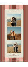 Vivienne Tall Holiday Cards
