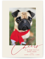 Happy Pets New Year Photo Cards