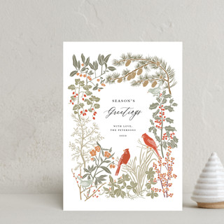 Winter Greens Holiday Postcards