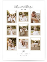 Delicate by Jennifer Postorino