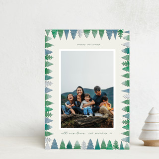 Trees all around Holiday Postcards