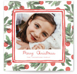 Fresh Festive Square Holiday Cards