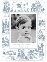 Christmas Toile Holiday Photo Cards