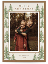 Winter Trees Holiday Photo Cards