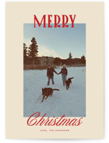 Modern Classic Holiday Photo Cards