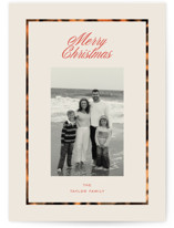 Tiny Tortoise Border Holiday Photo Cards