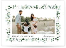 Eucalyptus Frame Holiday Photo Cards
