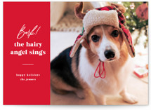 Barking holiday Holiday Photo Cards