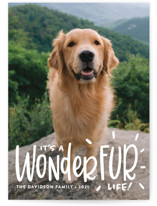 It's a Wonder-FUR Life Holiday Photo Cards