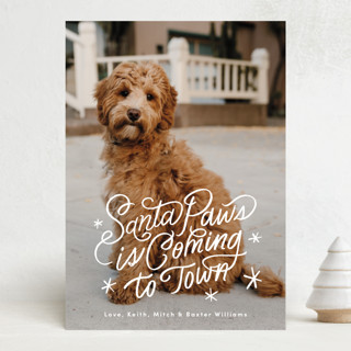 Santa Paws is Coming to Town Holiday Photo Cards