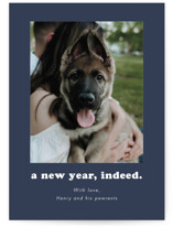 Indeed Holiday Photo Cards