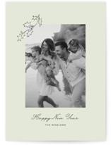 Hung Holly Holiday Photo Cards