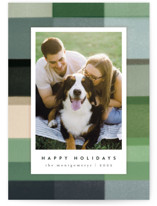 Buffalo Holiday Photo Cards