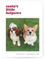 litte helpaw(s) Holiday Photo Cards