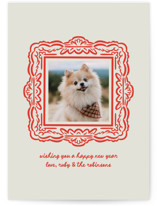 Friendly Frame Holiday Photo Cards