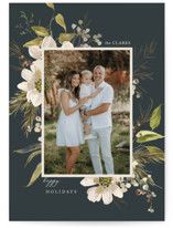 WINTER LIGHT Holiday Photo Cards