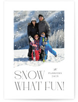 Snow What Fun Holiday Photo Cards