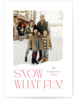 Snow What Fun Holiday Photo Cards