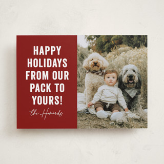 Our Pack to Yours Holiday Photo Cards